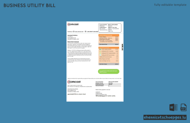 USA Utah Comcast Geschäftskundenrechnung Version 2 Beispielvorschau